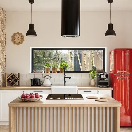 Stylove Stodoły - Ukryte W Brzozach * Ciekocino