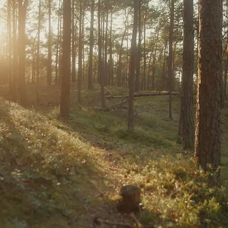 Stylove Stodoły - Ukryte W Brzozach