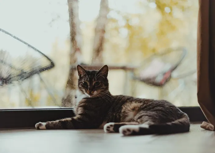 Stylove Stodoly - Ukryte W Brzozach Ciekocino