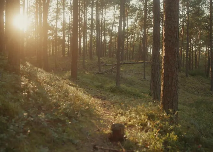 Stylove Stodoly - Ukryte W Brzozach